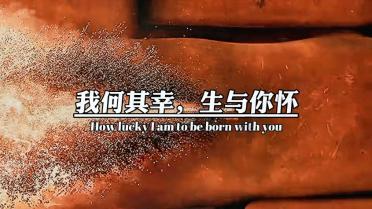 怀孕了公司可以辞退吗?知识星球-专注知识分享与交流